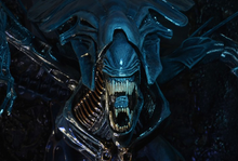 Load image into Gallery viewer, Aliens Playing Cards with Coin