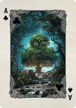 Load image into Gallery viewer, Kingdoms of a New World - Limited
